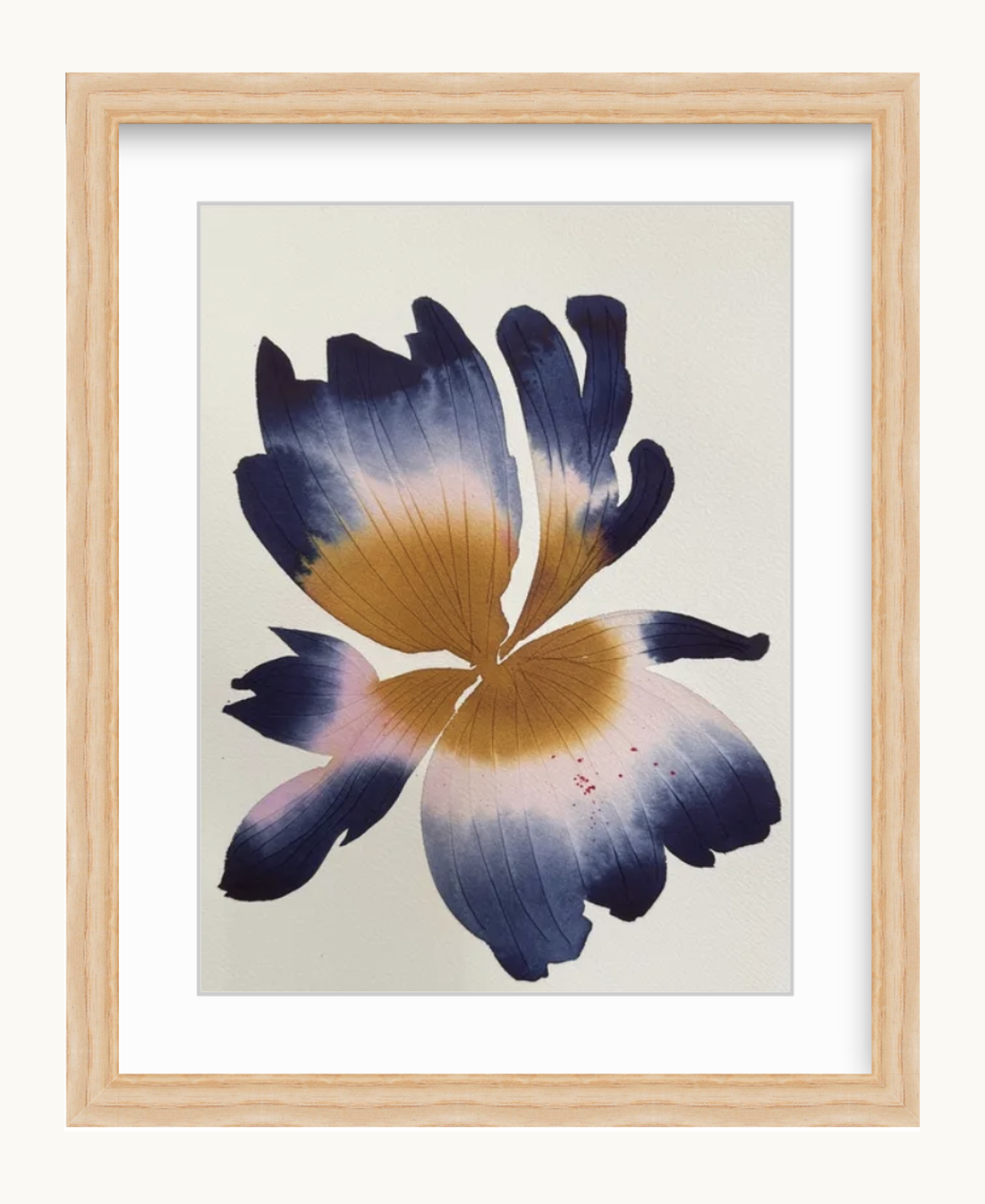 Medium inky iris 3