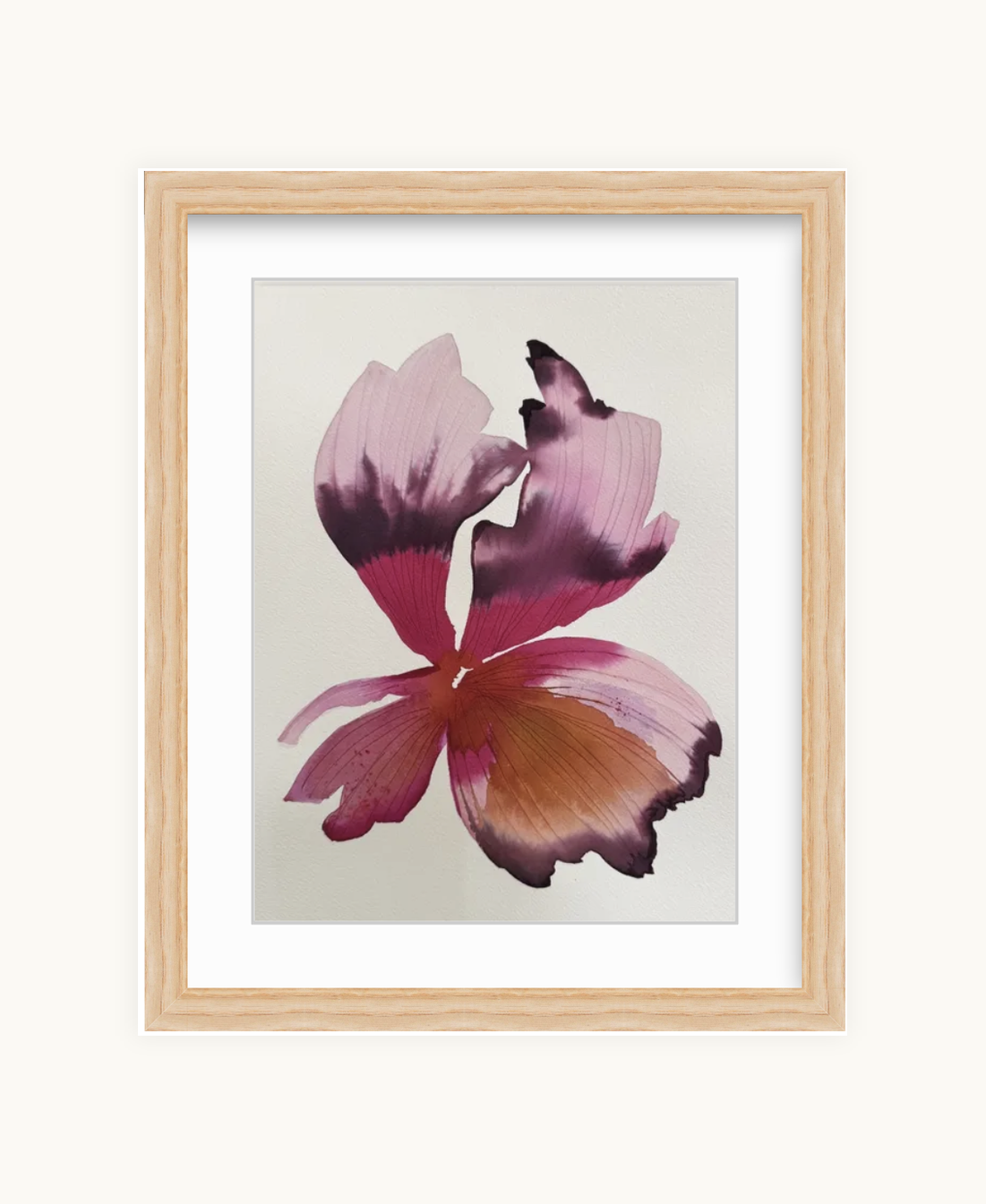 Medium inky iris 5