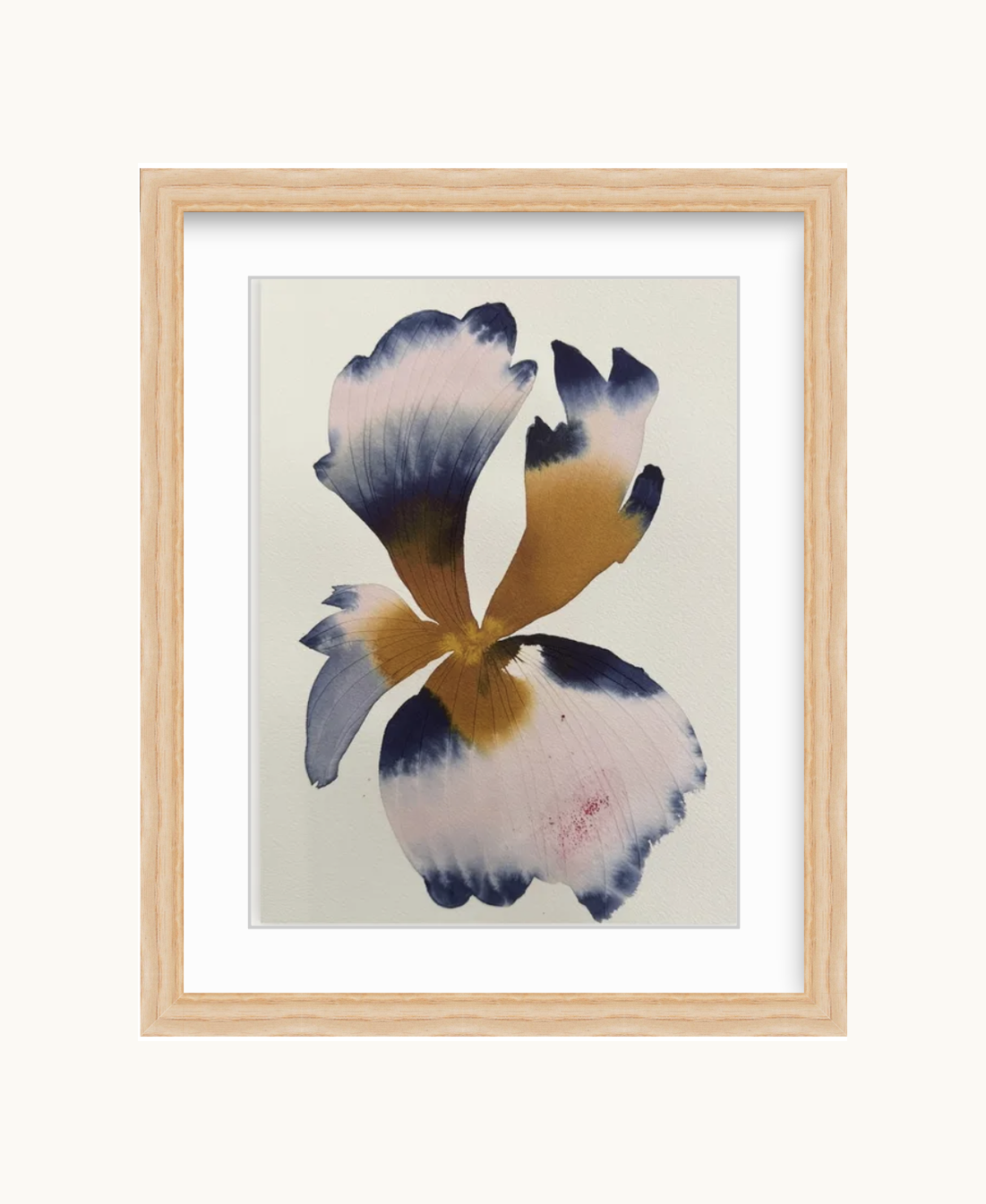 Medium inky iris 8