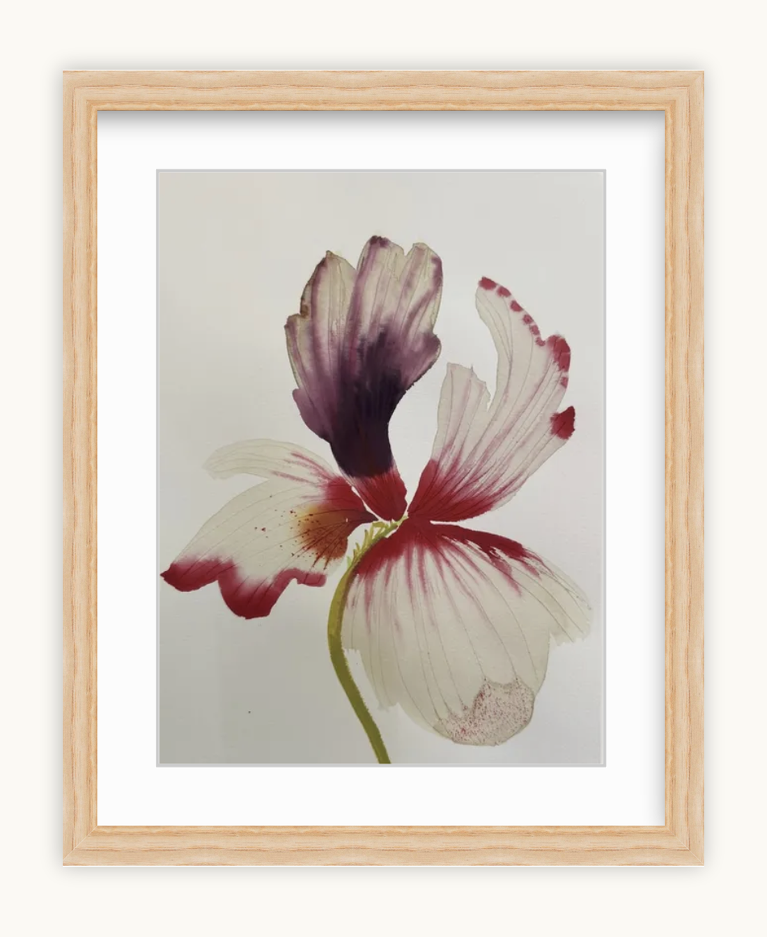Medium inky iris 7
