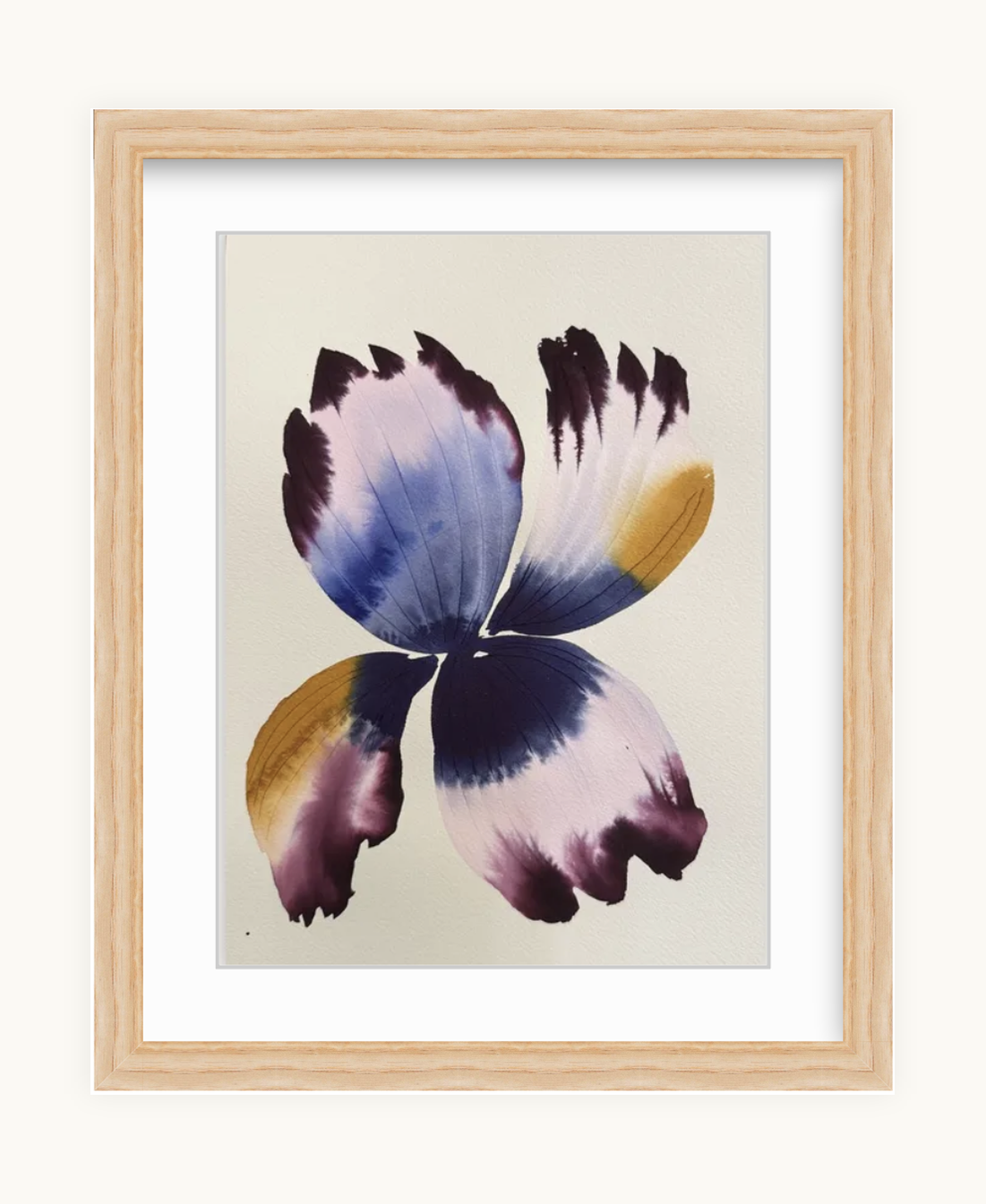 Medium inky iris 4