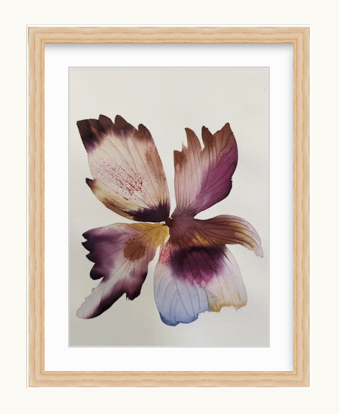 Large inky iris 2