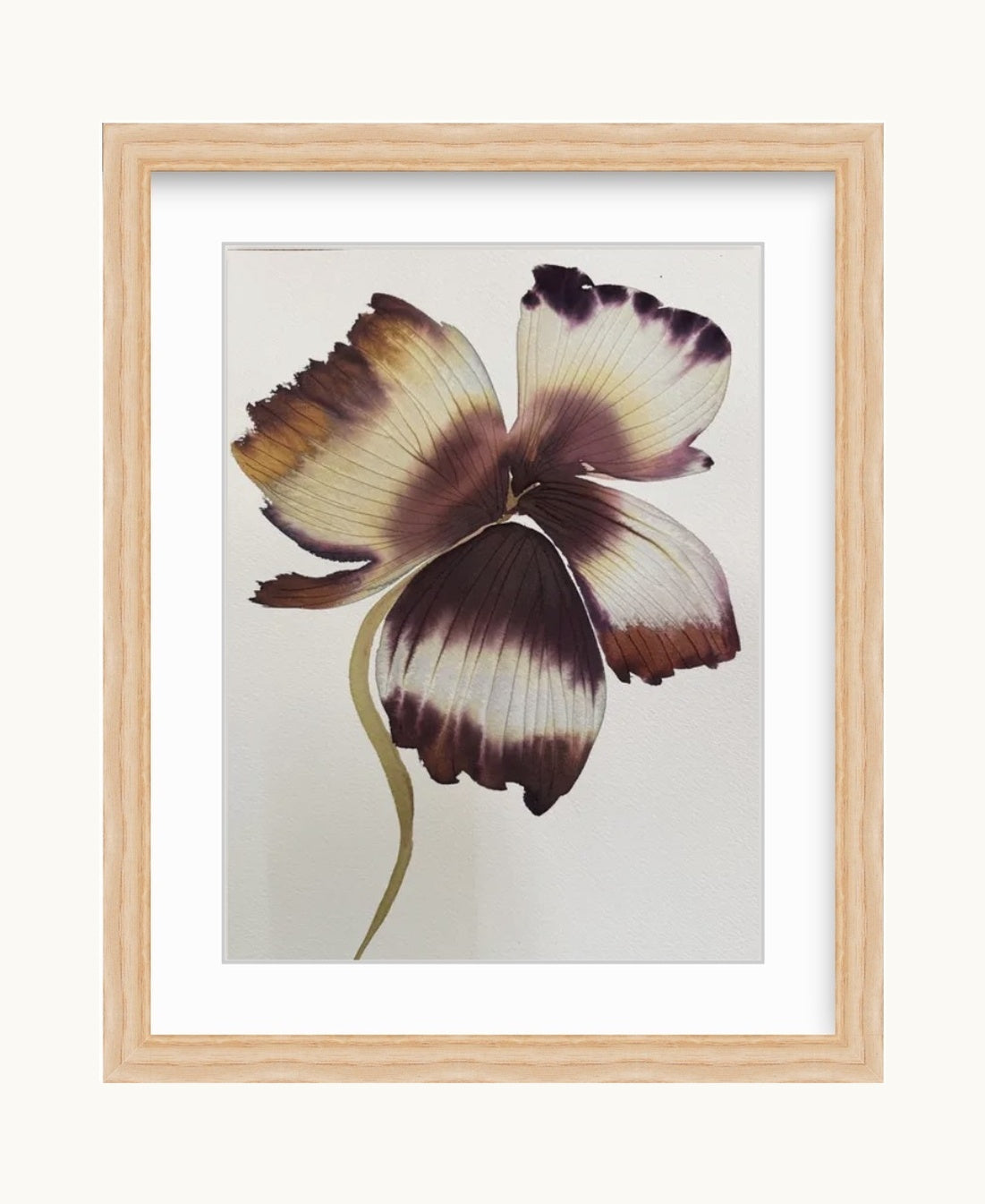 Medium inky iris 6