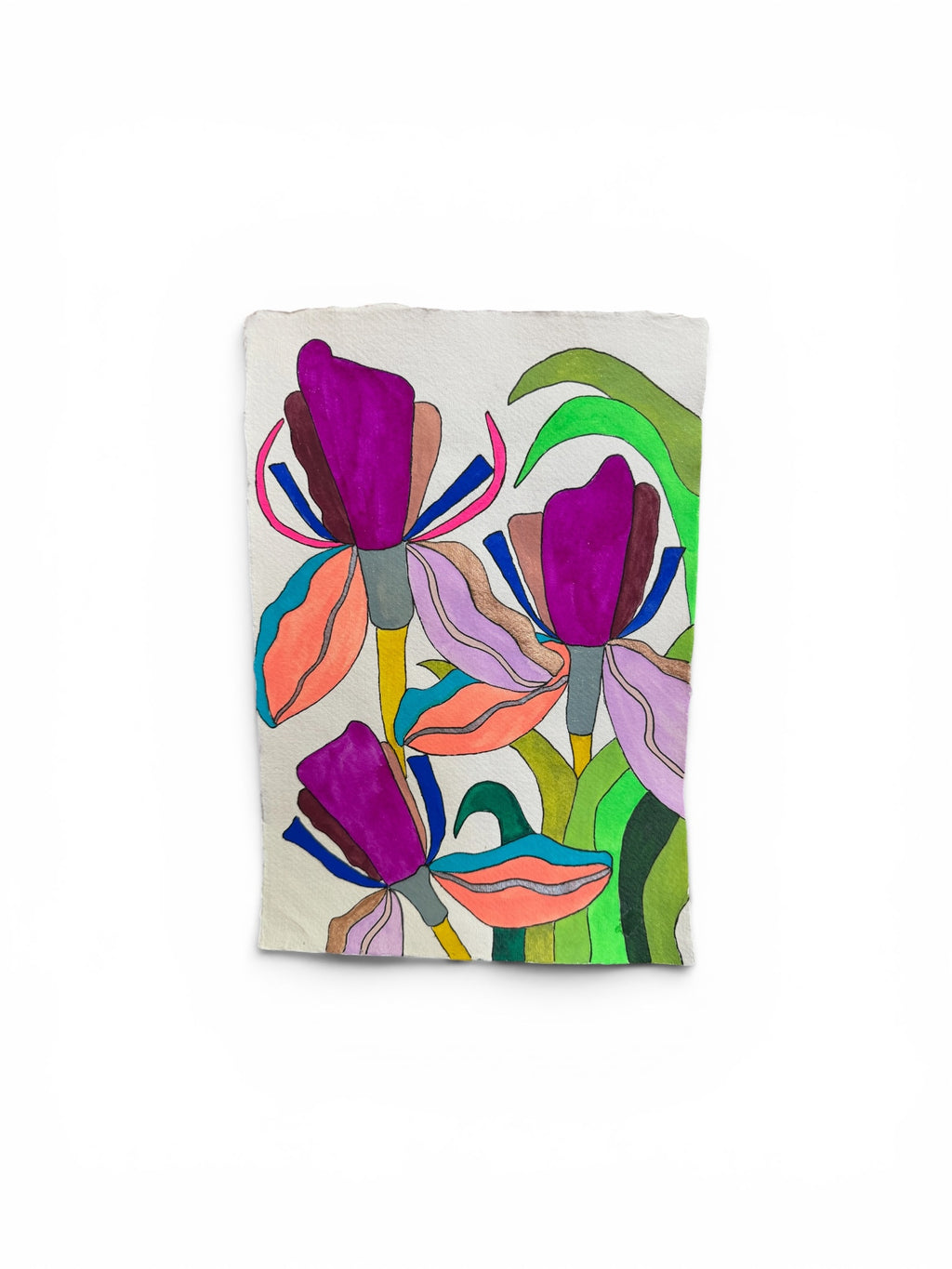 Medium Irises 12