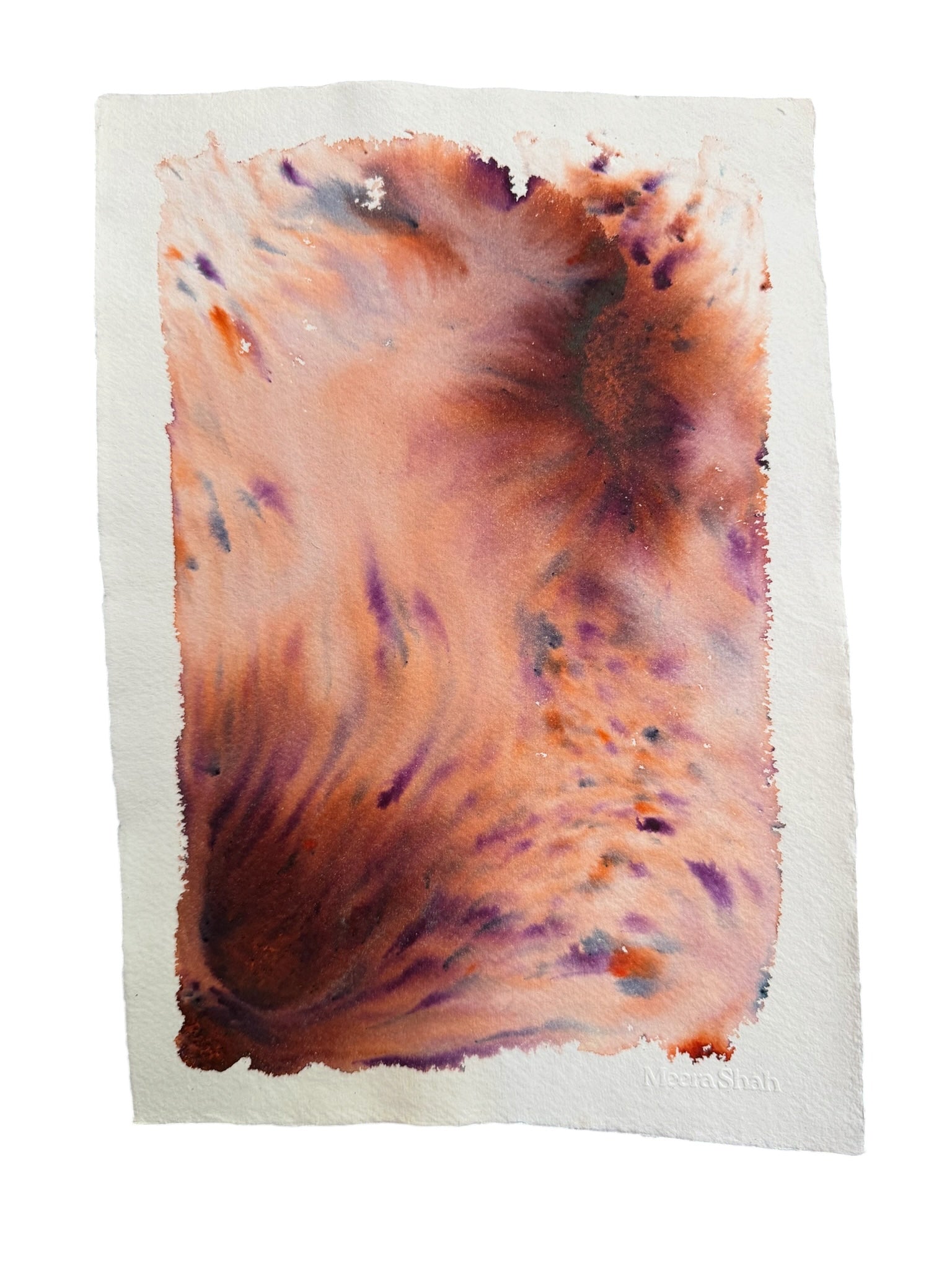 Dye study 23